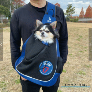 MLB公式 ロサンゼルス ドジャース 大谷翔平選手モデル スリングキャリー