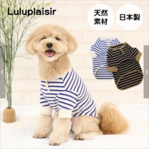 綿100ボーダーヘンリーネックT